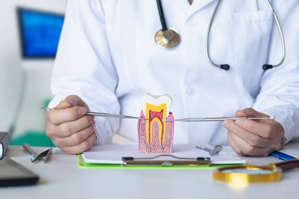 Best Emergency Treatment for Toothache in Old Orchard, PA